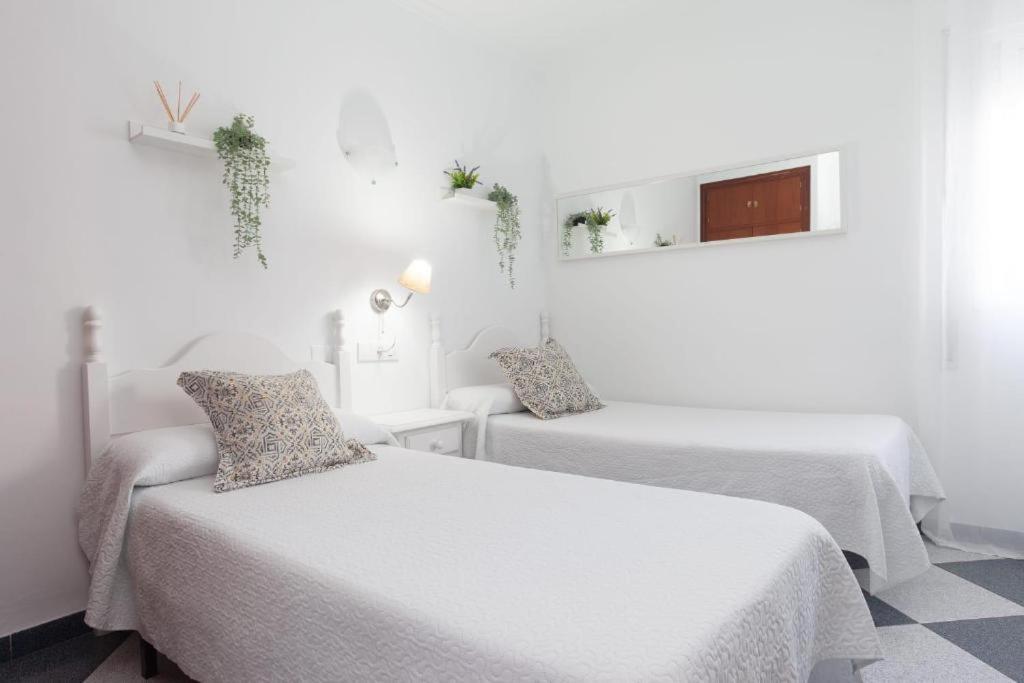 Twin Room,1659454534:JPEG